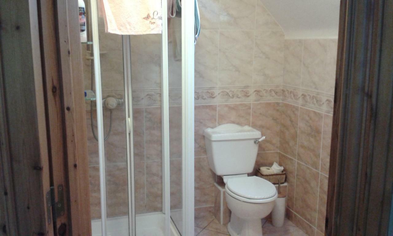 مبيت وإفطار Sherlockstown White Swan المظهر الخارجي الصورة